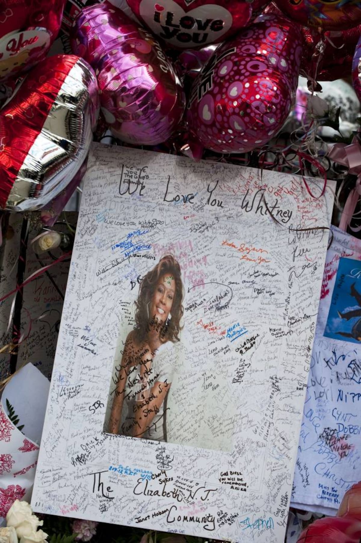 Whitney Houston AFP DON EMMERT
