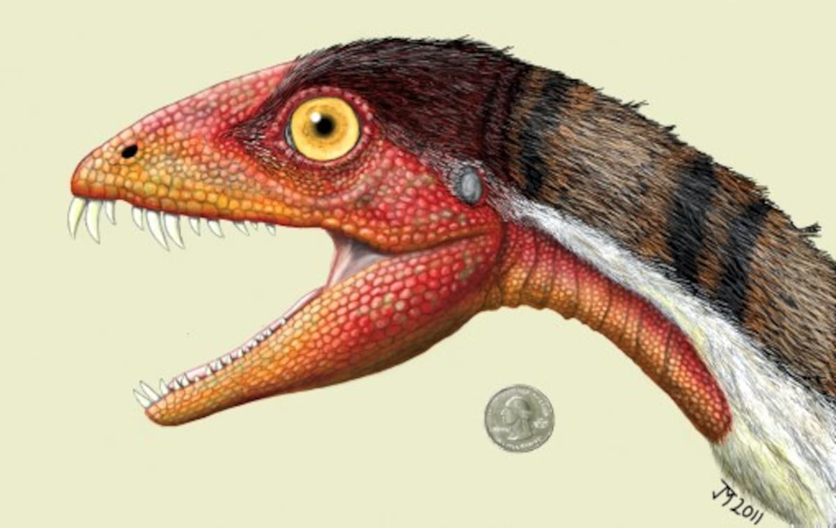 Daemonosaurus chauliodus. AP