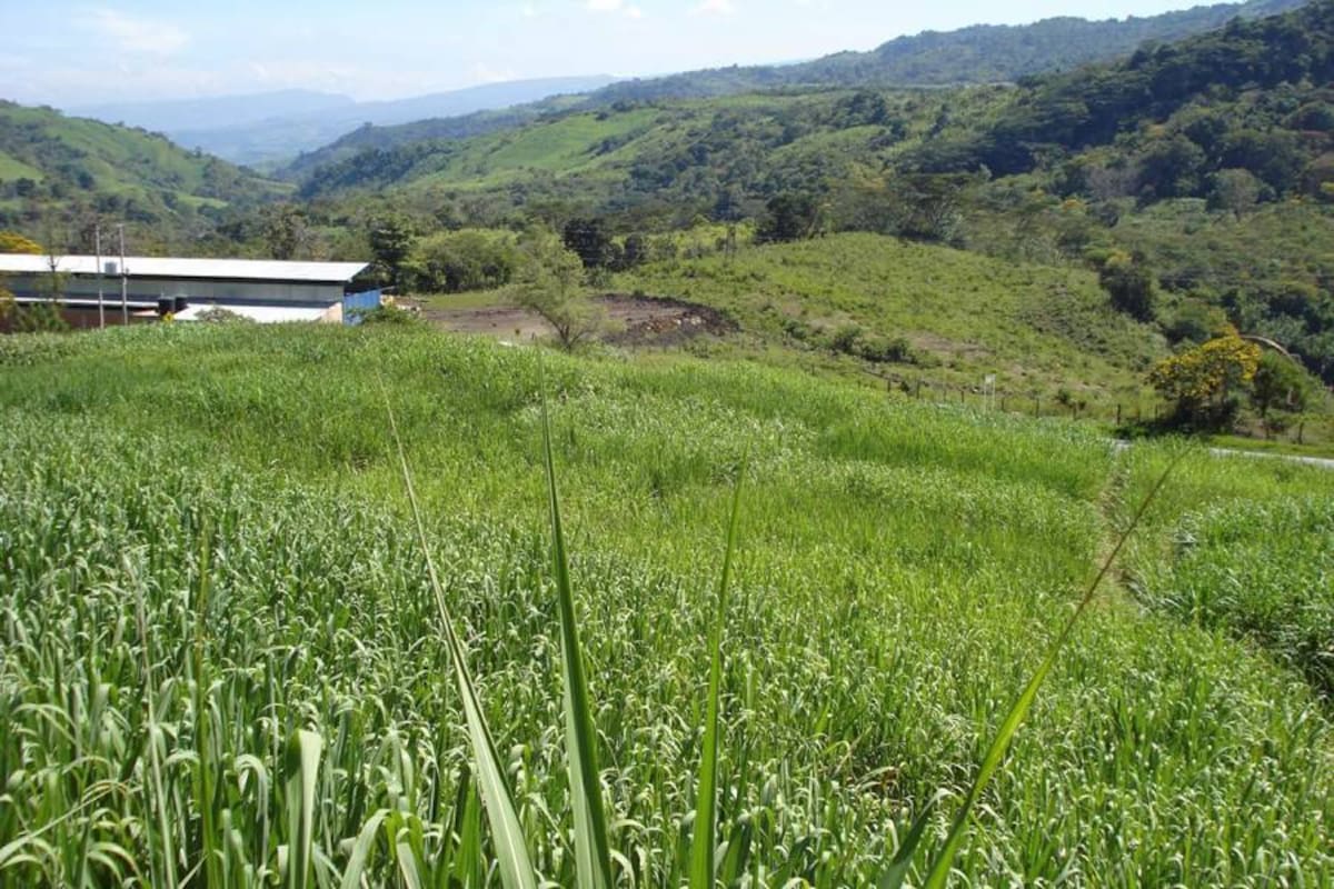 Los suelos del país no están preparados para tanta lluvia: Minagricultura