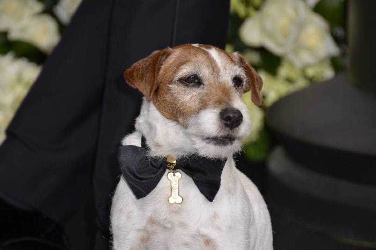 Uggie AFP JOE KLAMAR