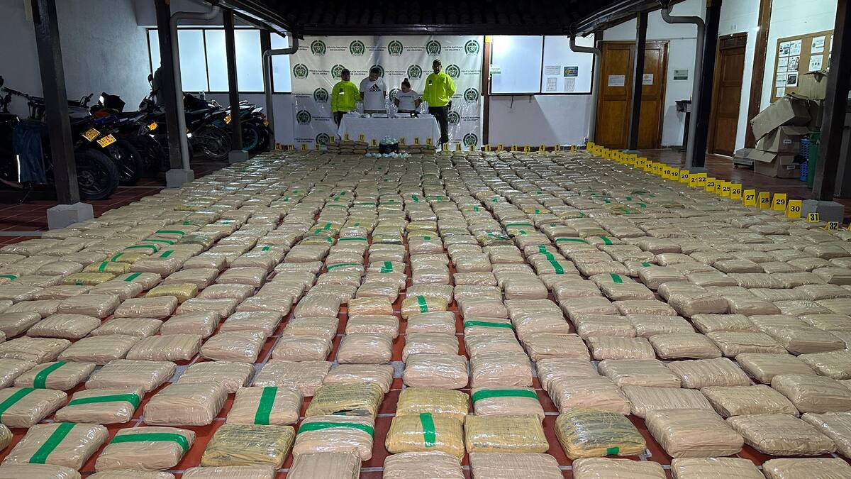 1.4 toneladas de marihuana incautadas en Tibú. // Foto: Policía Nacional
