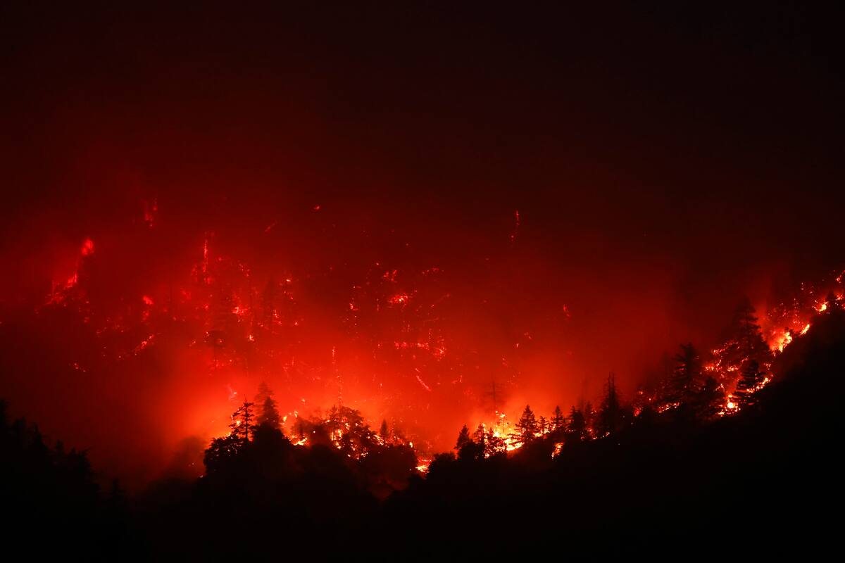 Contaminación por incendios produce 1,5 millones de muertes al año