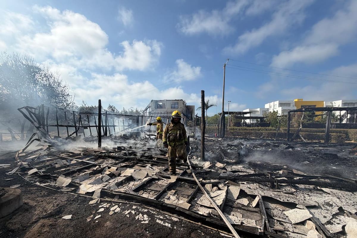Incendios forestales se disparan en Colombia: Cartagena, en alerta por el calor extremo