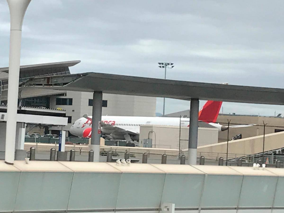 La línea Avianca y Viva Air han realizado los vuelos de repatriación desde los Estados Unidos hacia Colombia. // JORGE BARVA