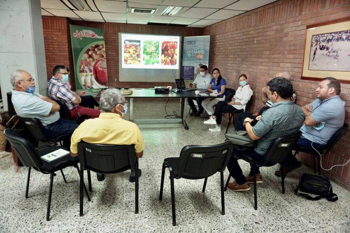 Impulsan proyecto sobre cadena productiva del marañón
