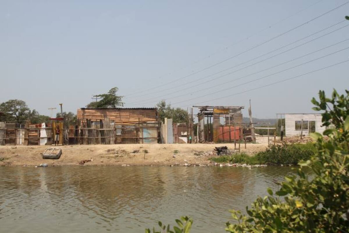 Estas casuchas están en el último tramo del Canal Ricaurte, muy cerca de la Ciénaga de la Virgen, cuerpo de agua que está siendo rellenado con escombros y sus manglares talados. foto óscar díaz