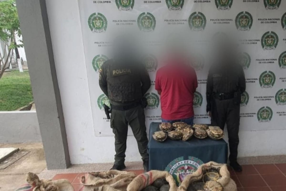 Capturan en flagrancia a alias ‘el Culebrero’ con más de 255 icoteas en Bolívar