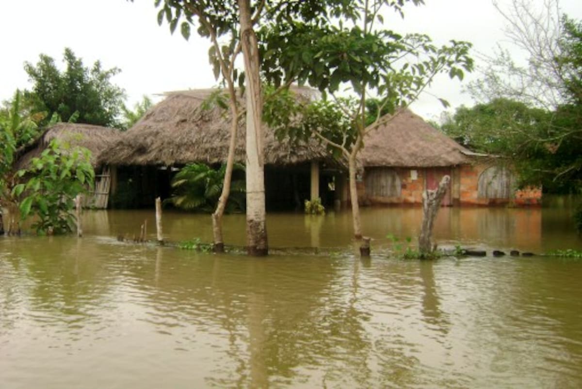 2500 familias han resultado damnificadas con la emergencia invernal que se vive en el municipio de Ayapel, Córdoba, como consecuencia de la creciente de los ríos Cauca y San Jorge. (Colprensa-Meridiano de Córdoba)