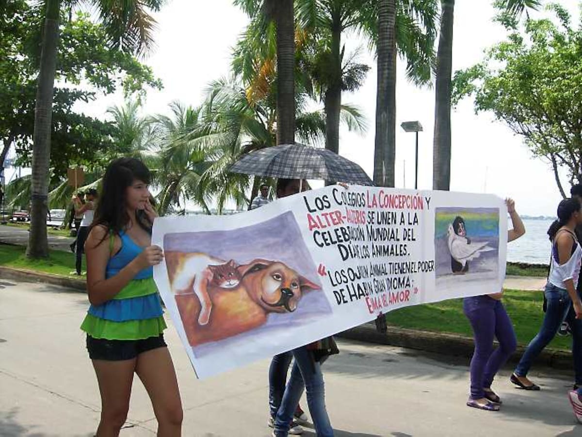 Algunas instituciones educativas se unieron a la causa para llamar la atención sobre el buen trato de los animales. Fotos / Gloria Cardona /ElUniversal