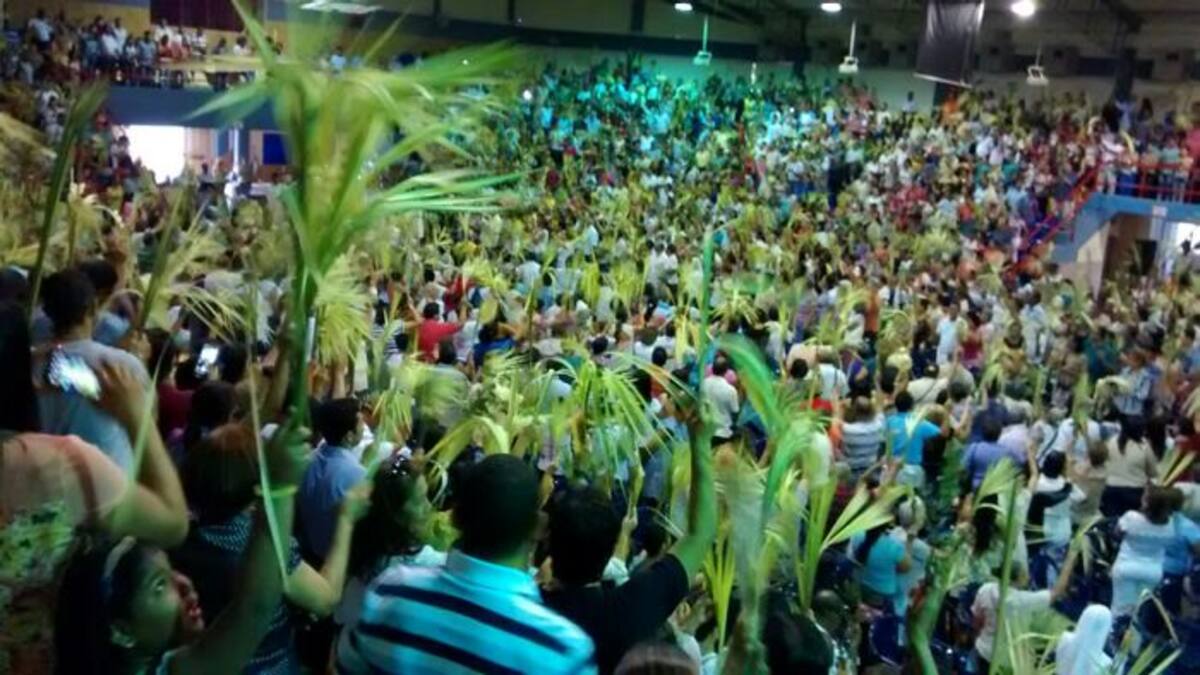 Este domingo de Ramos el llamado de la Iglesia es a respetar la naturaleza. ARCHIVO - LEDIS CARO D. / EL UNIVERSAL