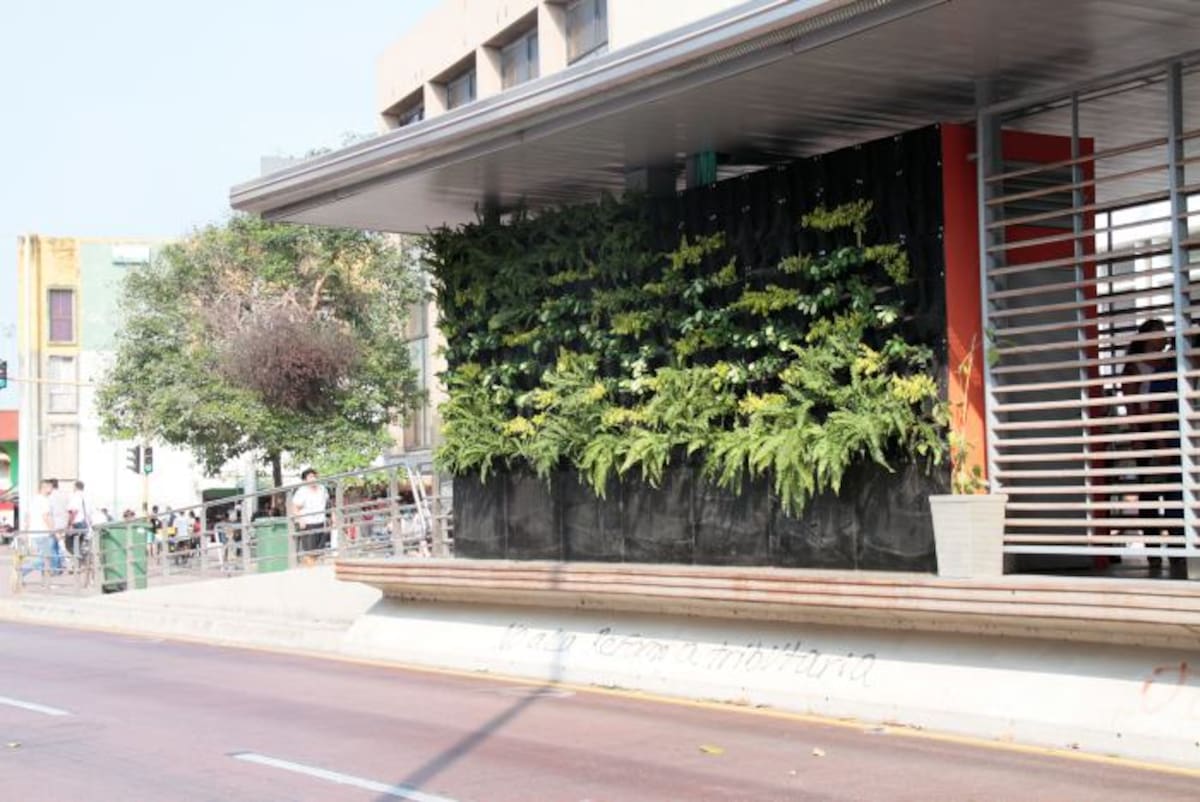 //Zenia Valdelamar-El Universal.