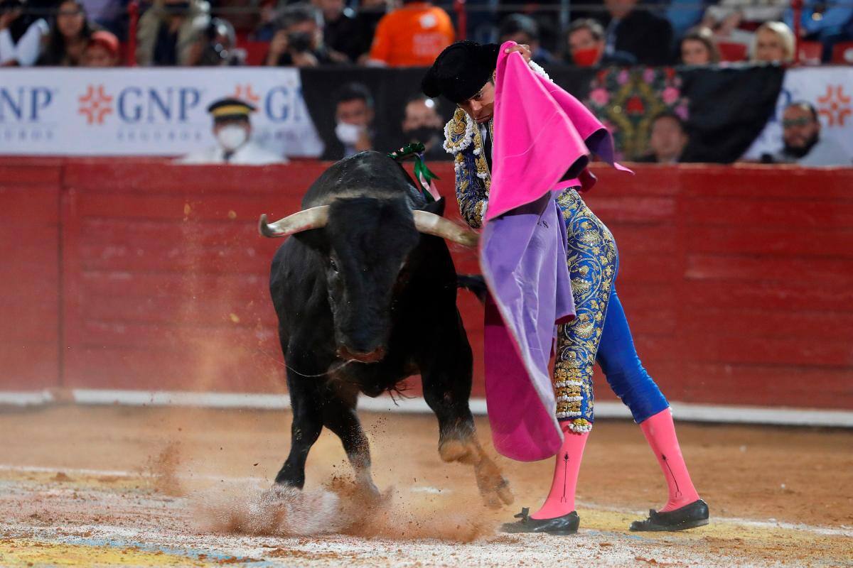 Muere un hombre tras ser corneado en una fiesta popular taurina en España