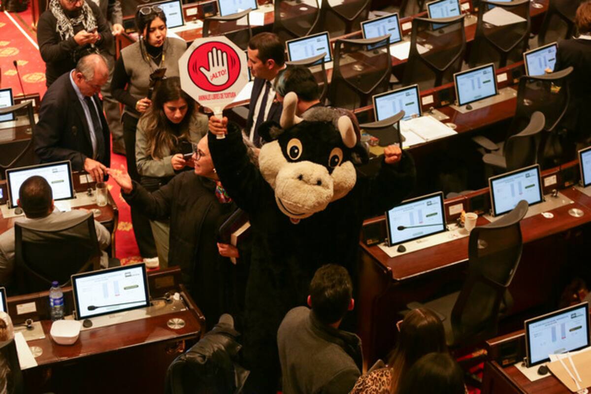 Es oficial: prohibición de corridas de toros pasó conciliación y llega a presidencia