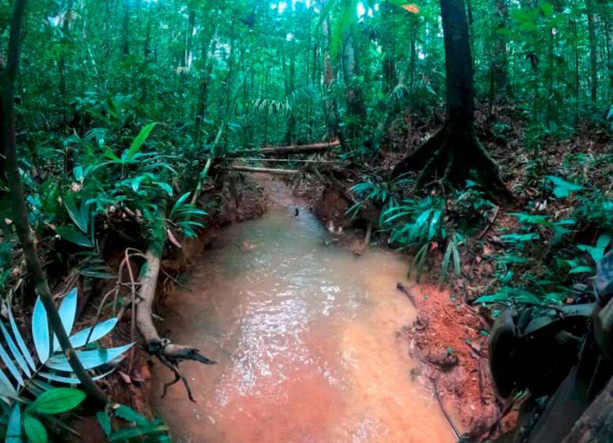 Búsqueda de las Fuerzas Militares a los menores desaparecidos en accidente aéreo. //Cortesía - El Colombiano.
