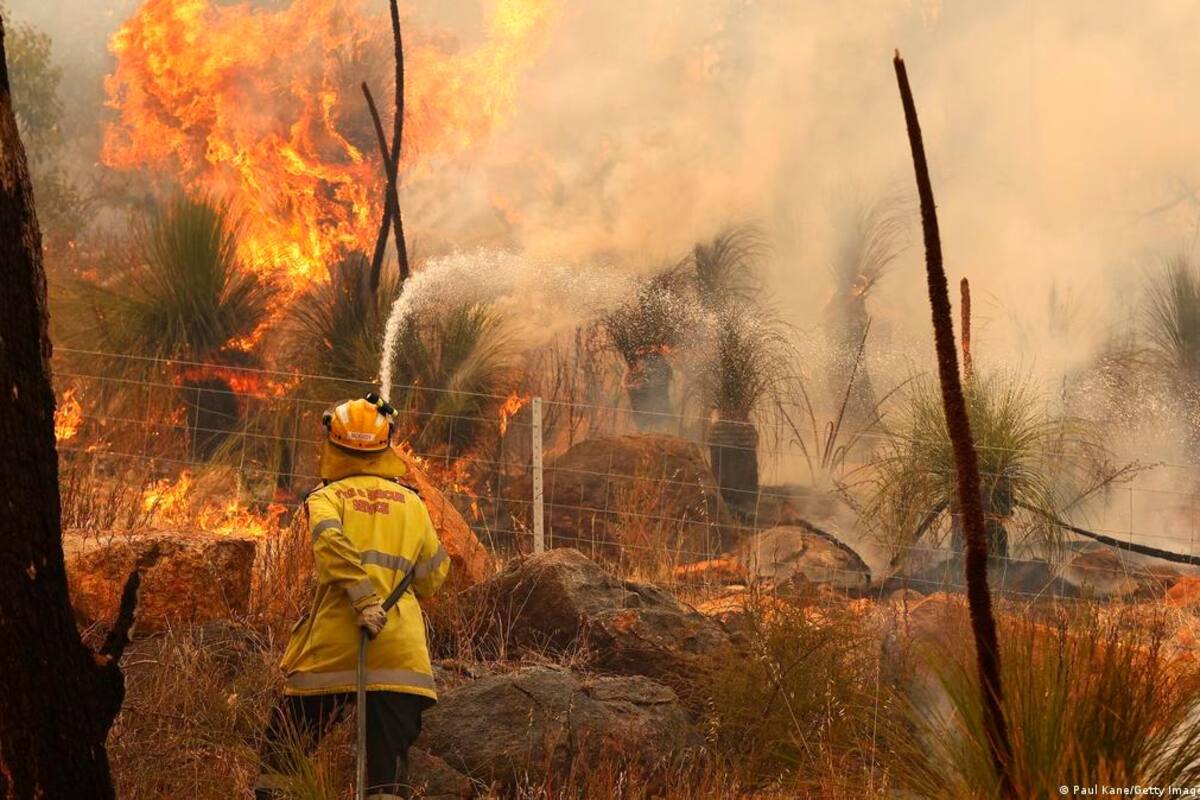 Se avivan los incendios forestales en Australia y el calor es “extremo”