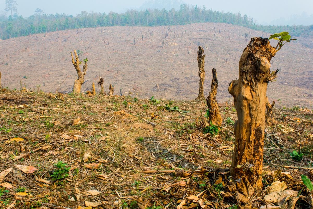 La acción climática no es “urgente” para la mayoría de los ciudadanos