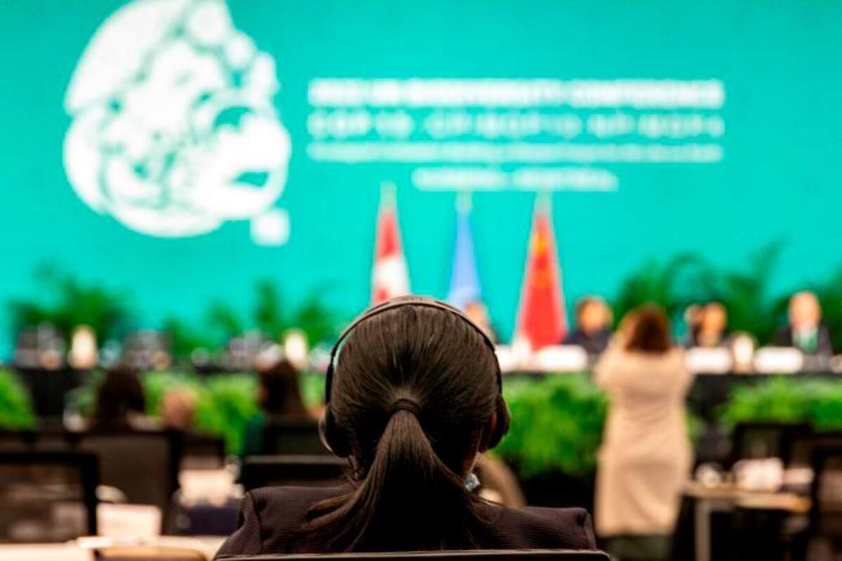 Oficial: alcanzan acuerdo histórico para proteger la biodiversidad