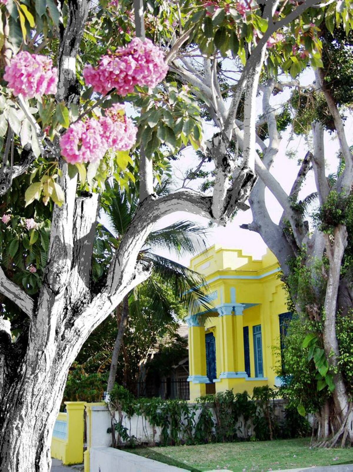 Vivian Saad sueña con el Centro Histórico de Barranquilla restaurado.