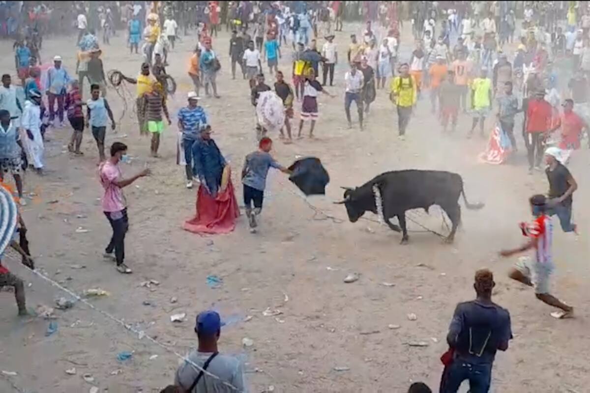 12 personas fueron corneadas durante corralejas en Manatí