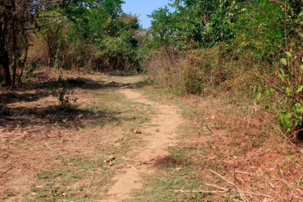 Mujer torturada y asesinada en Sincerín era menor de 14 años