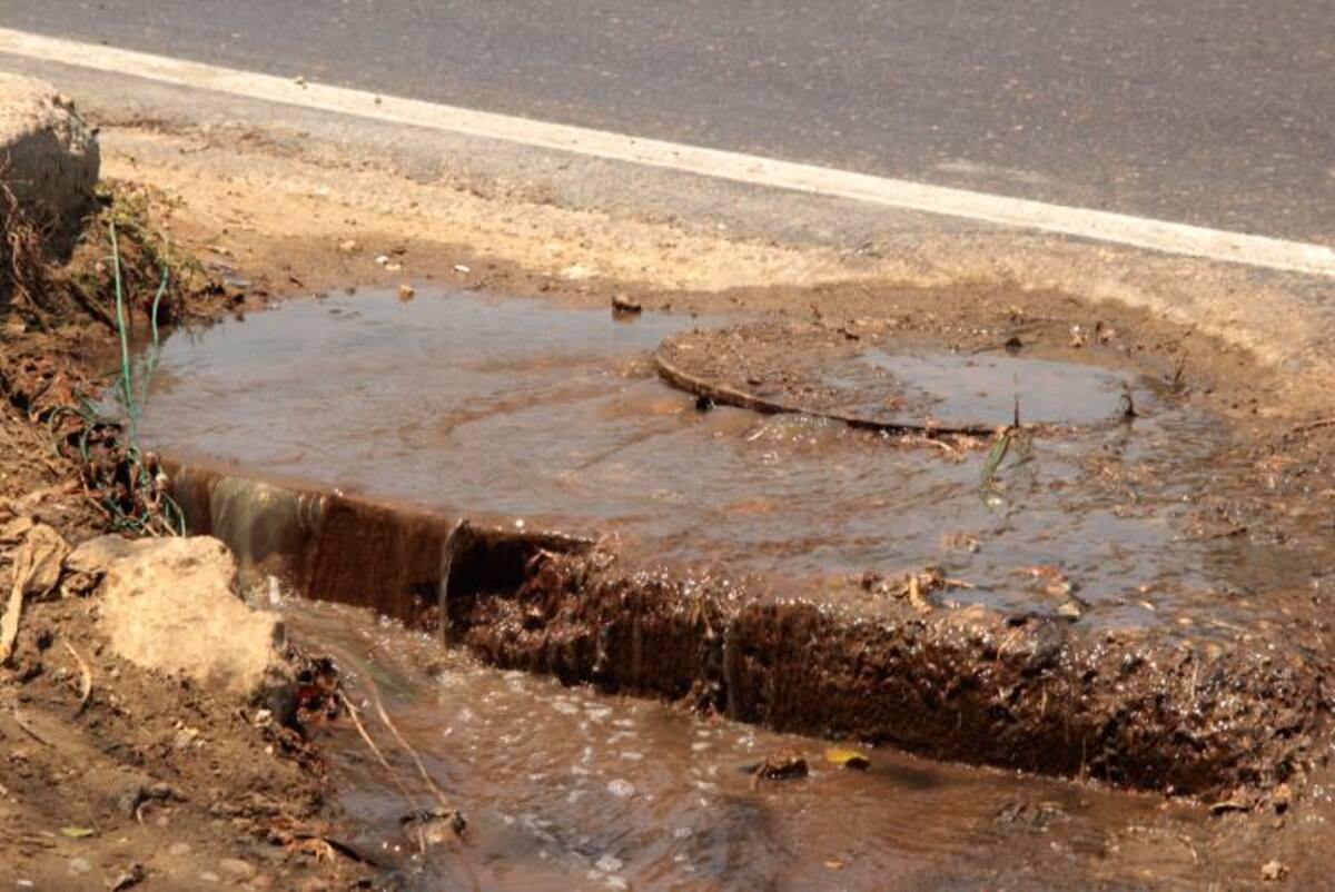De esta alcantarilla rebosan aguas residuales con malos olores provenientes de la empresa avícola. CORTESÍA
