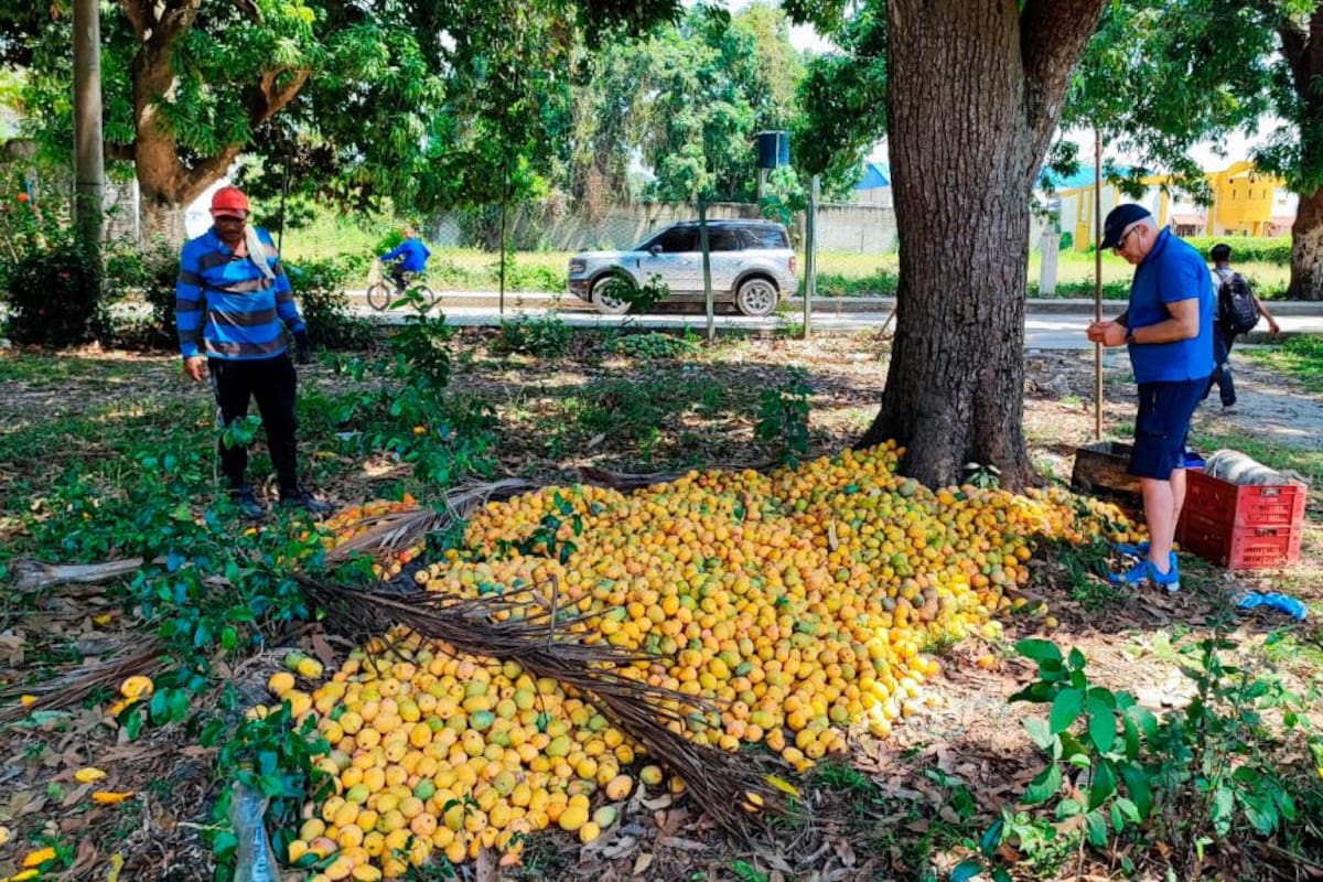 Crónica: cuando Nuccio Ordine visitó Cartagena