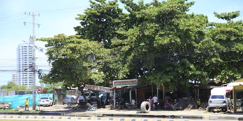 ¿Qué pasará con la reubicación de las familias de Chambacú? Alcaldía responde
