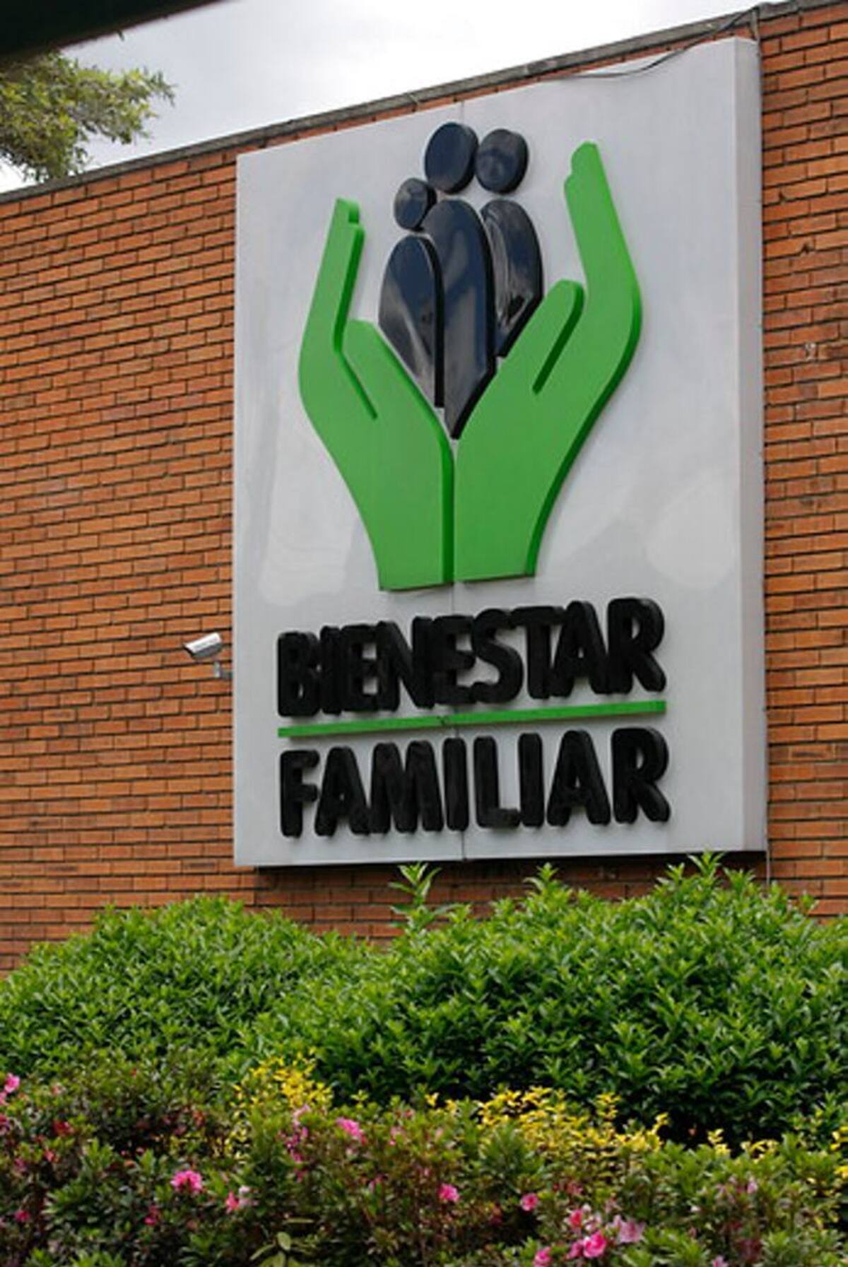 El ICBF busca que los derechos de los niños prevalezcan COLPRENSA