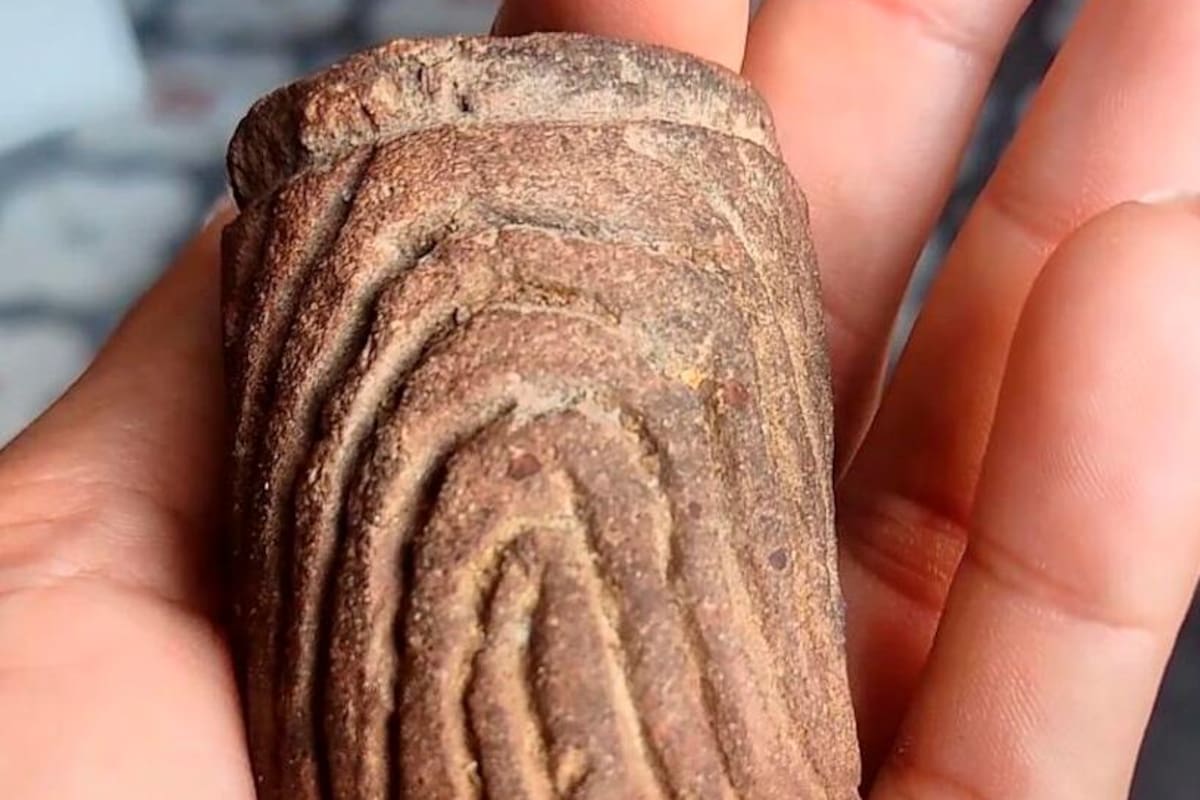 Campesino encontró cerámica de mil años en San Jacinto