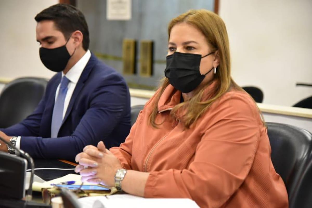 Citados a la Cámara para tratar el alza tarifas de energía no asistieron al debate