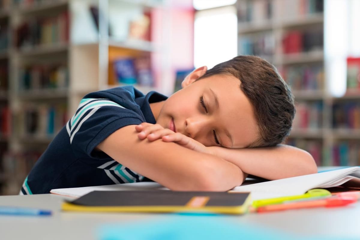 ¿Sabía que dormir la siesta está determinado por nuestros genes?