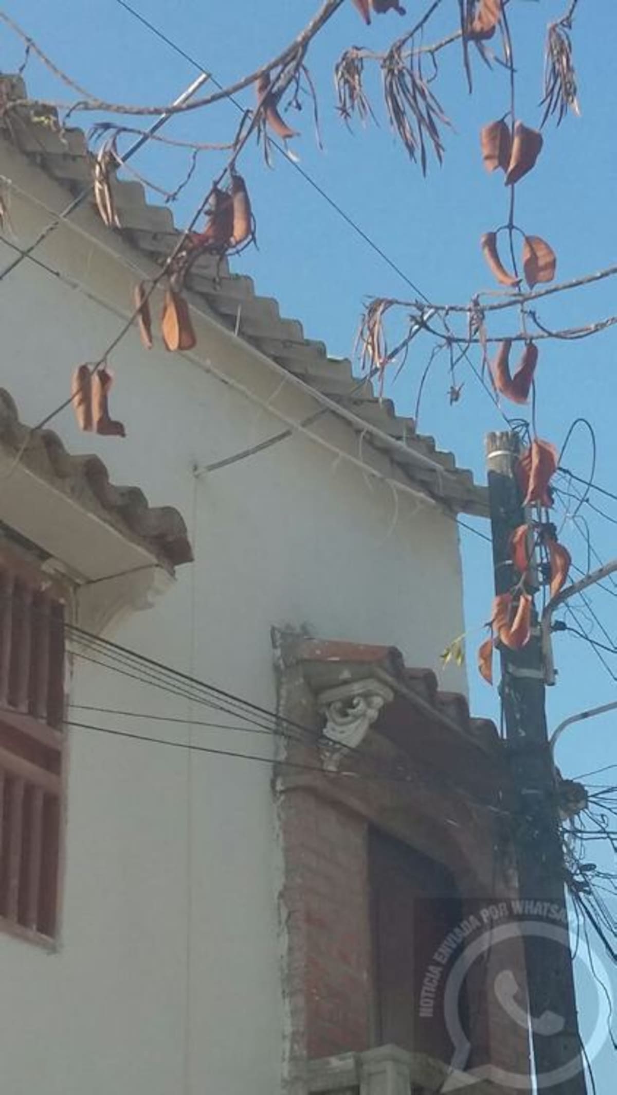 El poste de madera presenta malas condiciones y permanece inclinado hacia la vivienda de la familia Marin. Ciudadano Reportero