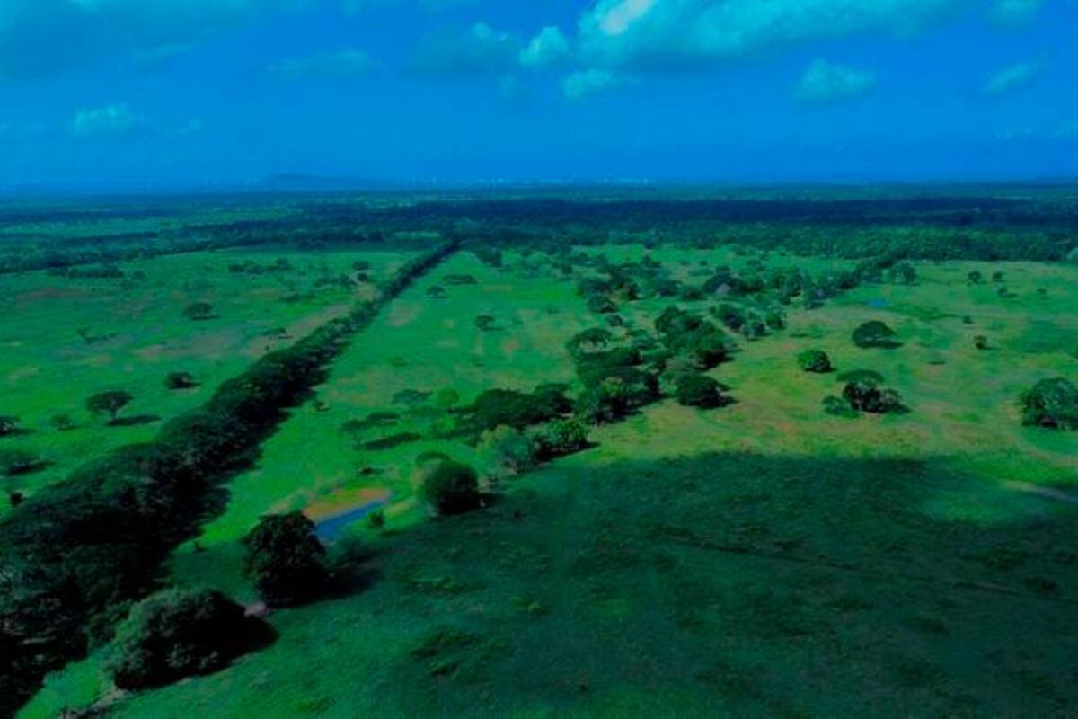 Comunidades indígenas y afro buscan apoyo del Concejo ante aeropuerto en Bayunca