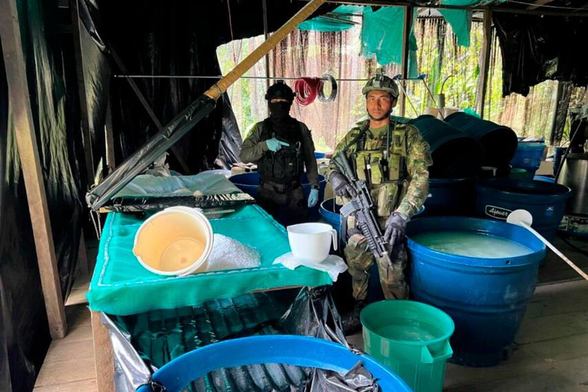 Fuerzas Militares destruyen laboratorio de cocaína del ELN
