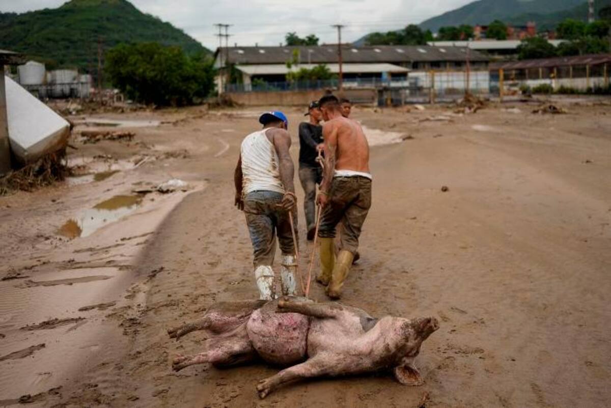 La lluvia acabó en tragedia en Las Tejerías, zona de catástrofe en Venezuela. //EFE.