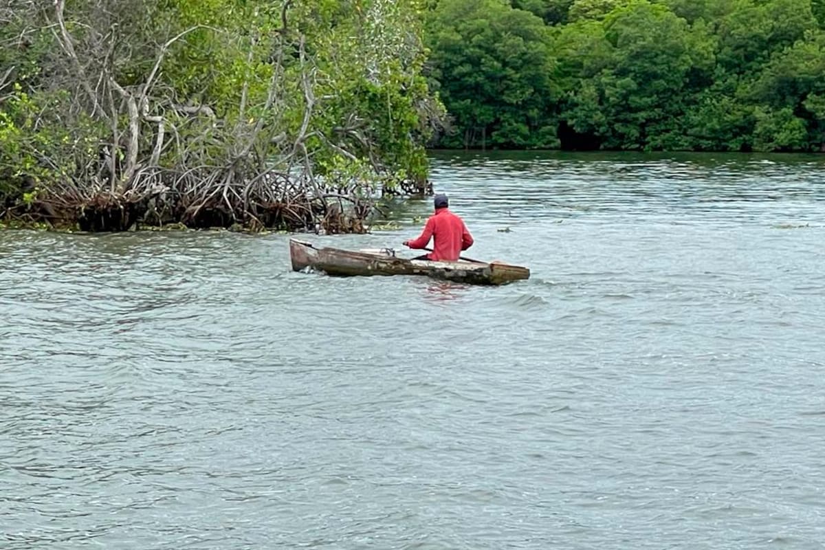 Conflicto ambiental en zona de influencia de Puerto Bahía desata controversia