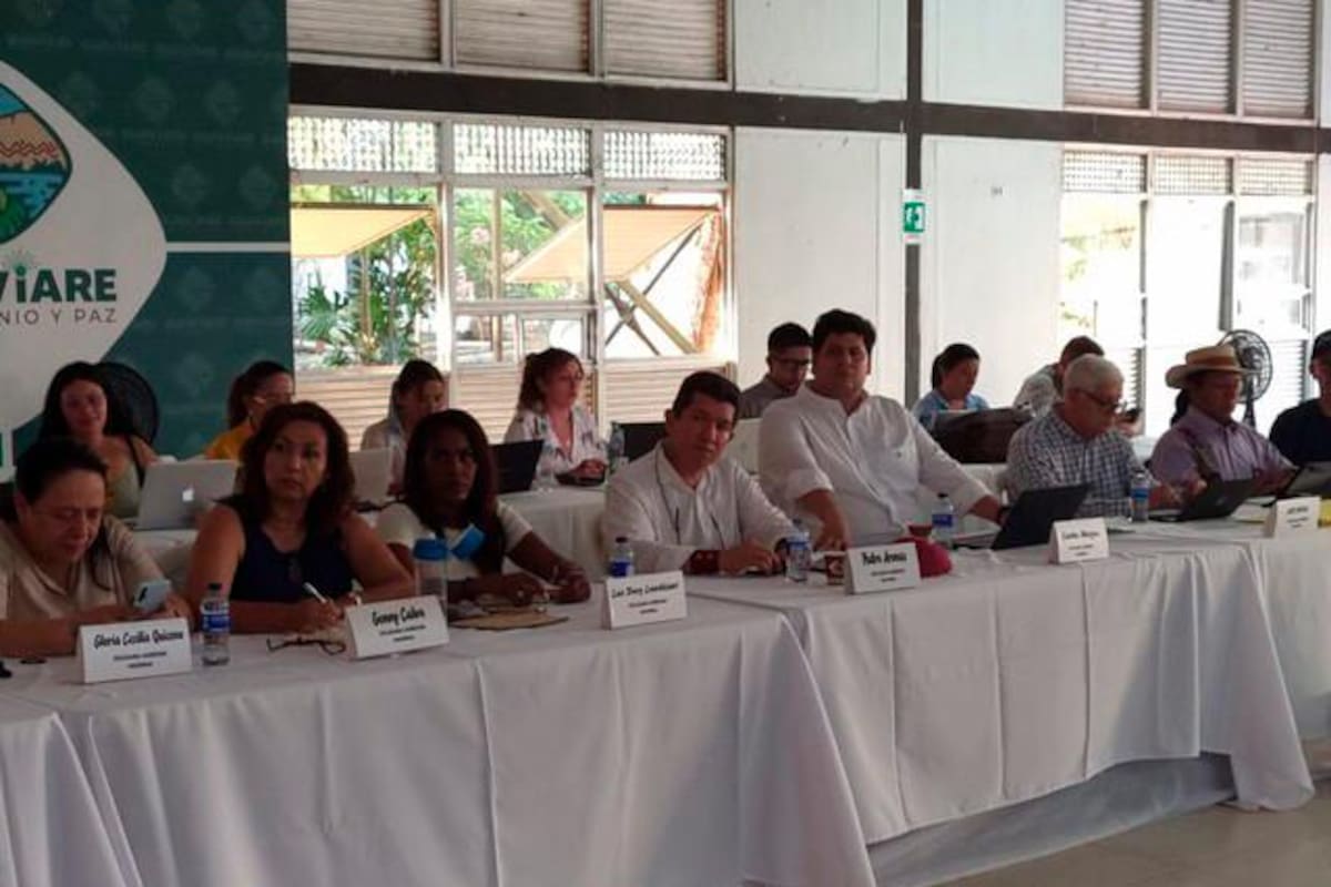 Desde Guaviare se inició el cuarto diálogo de paz con el Estado Mayor Central