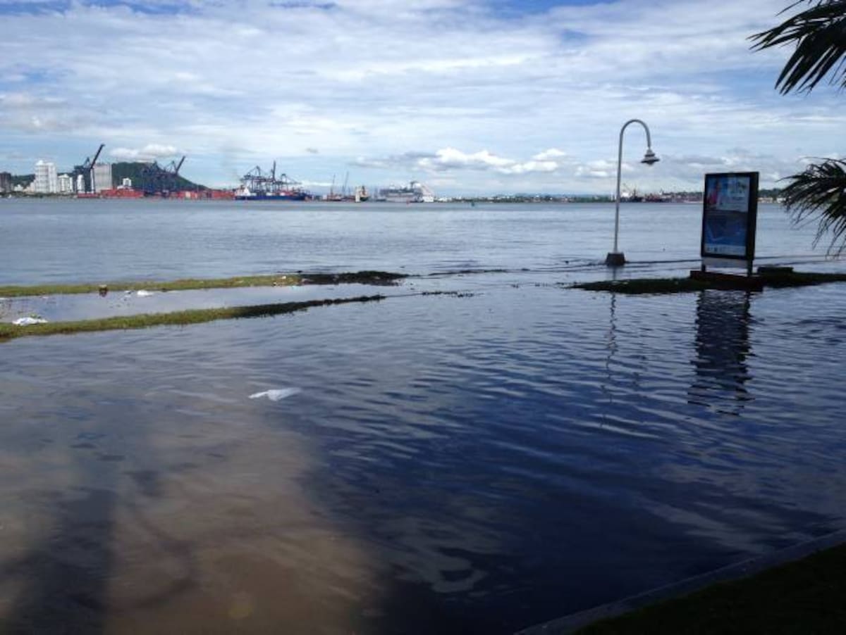 Como se ve en la foto, el uso de la zona peatonal es casi imposible. EL UNIVERSAL