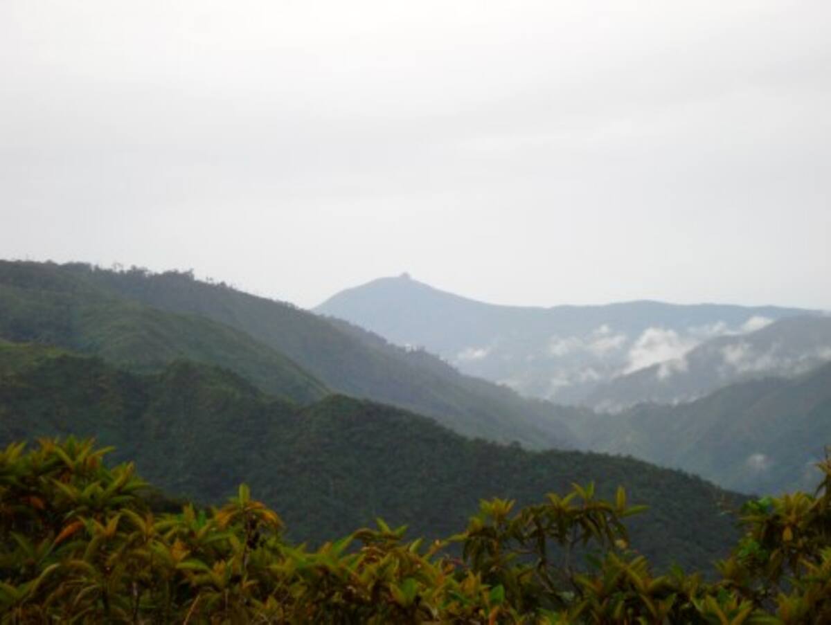 La imponente serranía de San Lucas, territorio donde aún se siembra coca y se lo disputan grupos de izquierda y derecha.