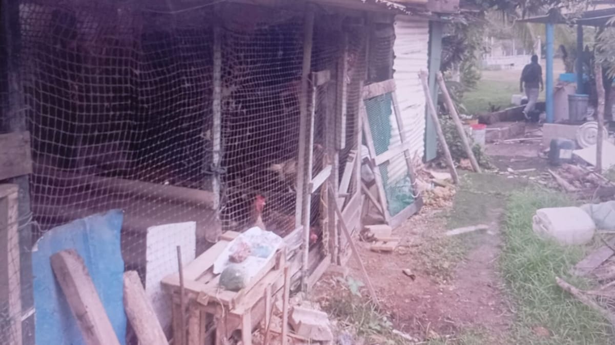 31 familias temen perder sus viviendas en Ciudadela Bonanza, Turbaco. // Foto: cortesía