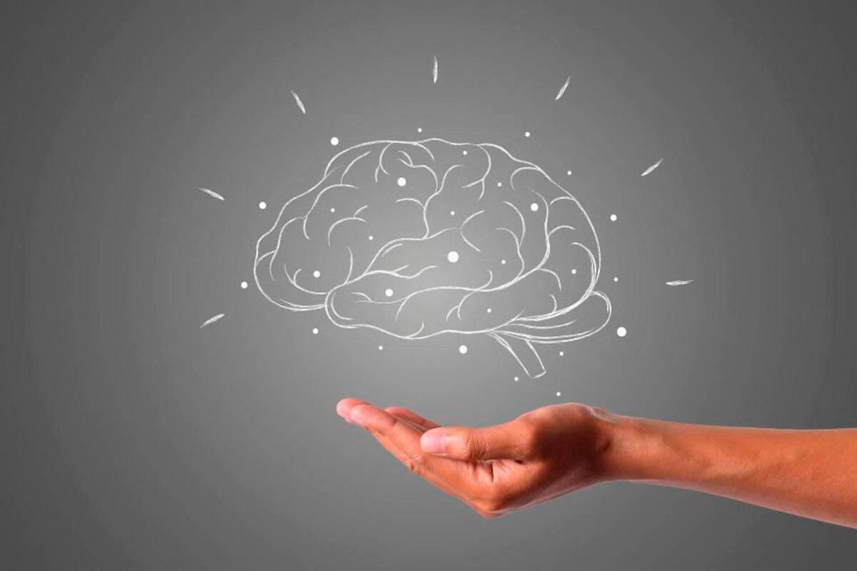 Conozca el tiempo que tarda el cerebro en restaurarse