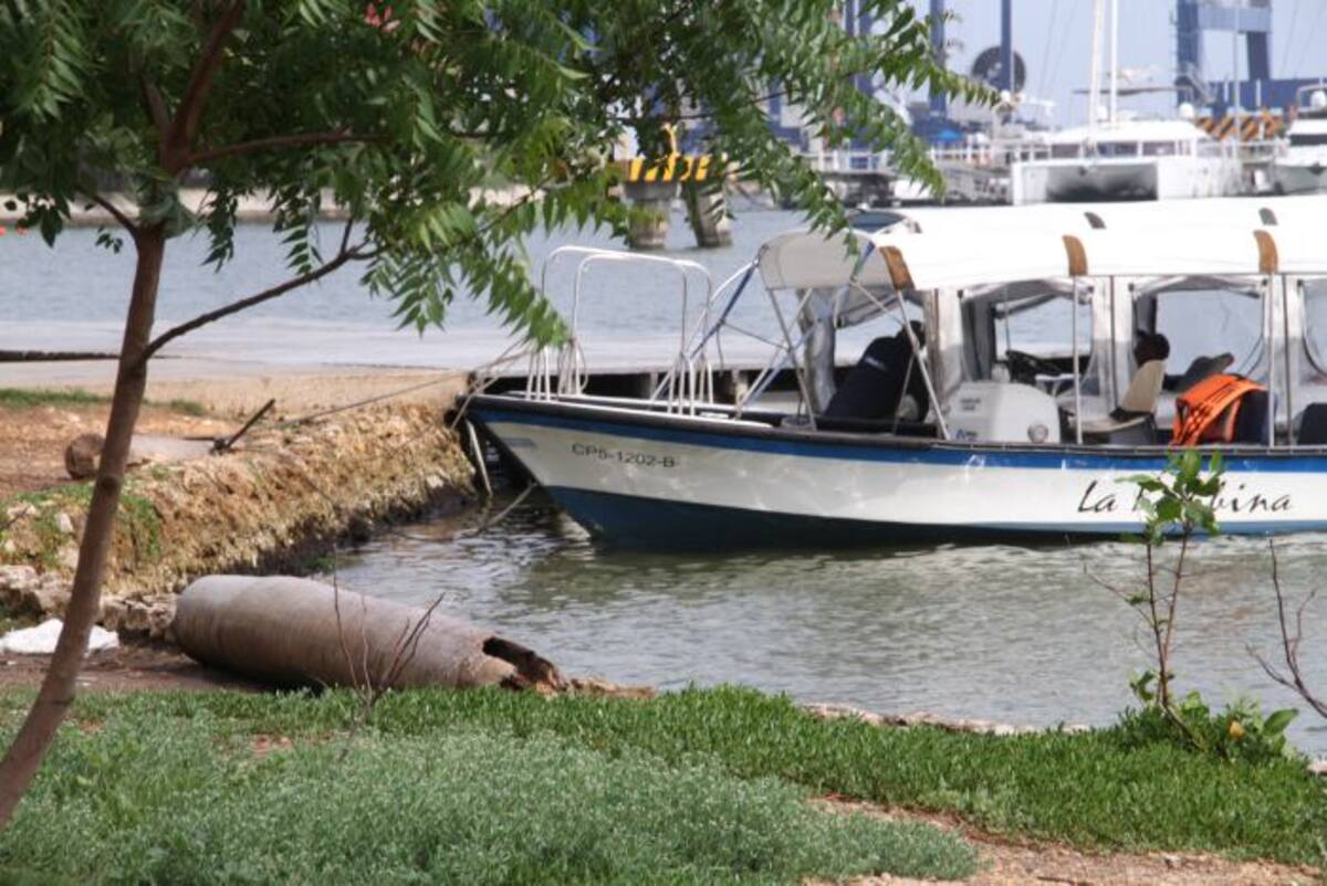 Zenia Valdelamar- El Universal.