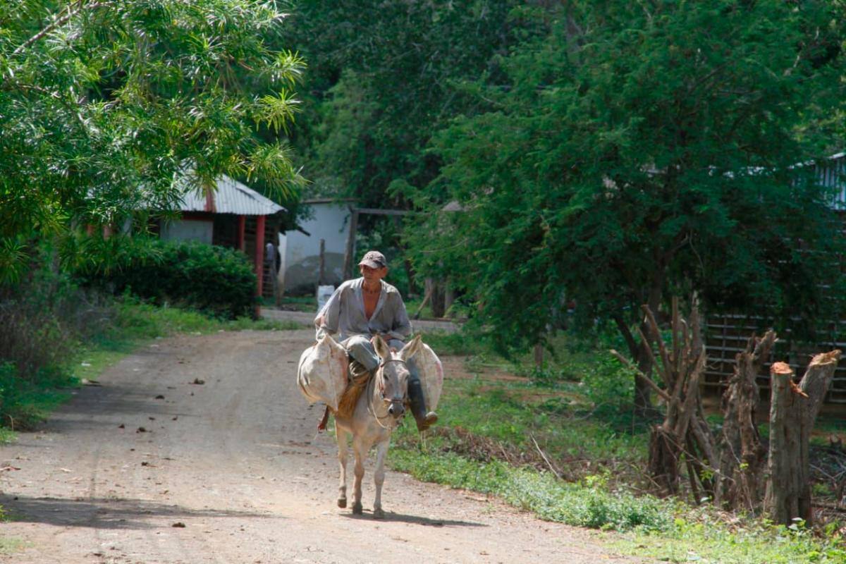 Así será la celebración del Día del Campesino en Mahates