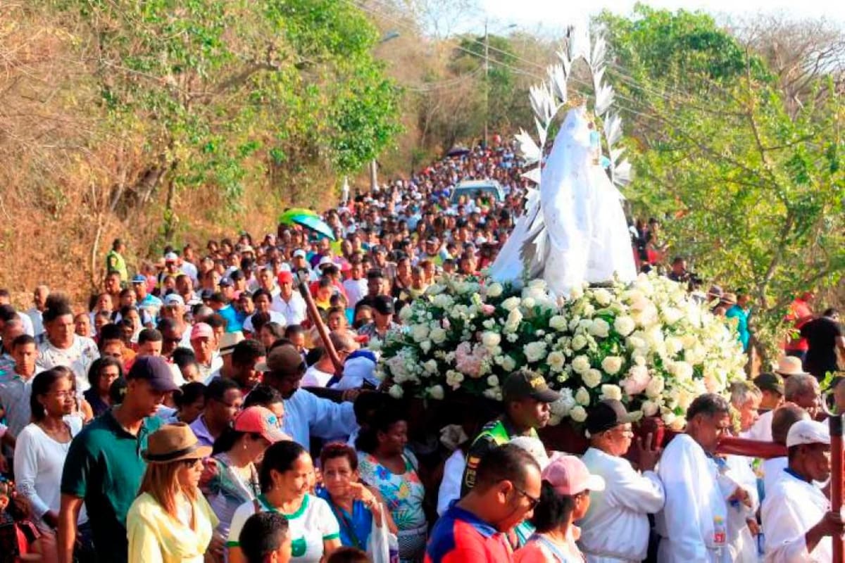 ¡Sin caballos!: Decretan medidas para las Fiestas de La Candelaria