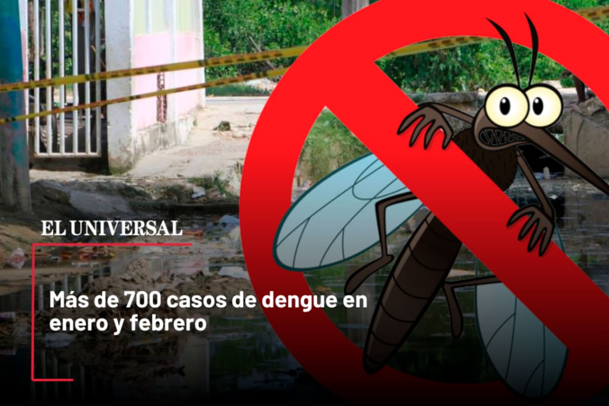 Video: Más de 700 casos de dengue en enero y febrero