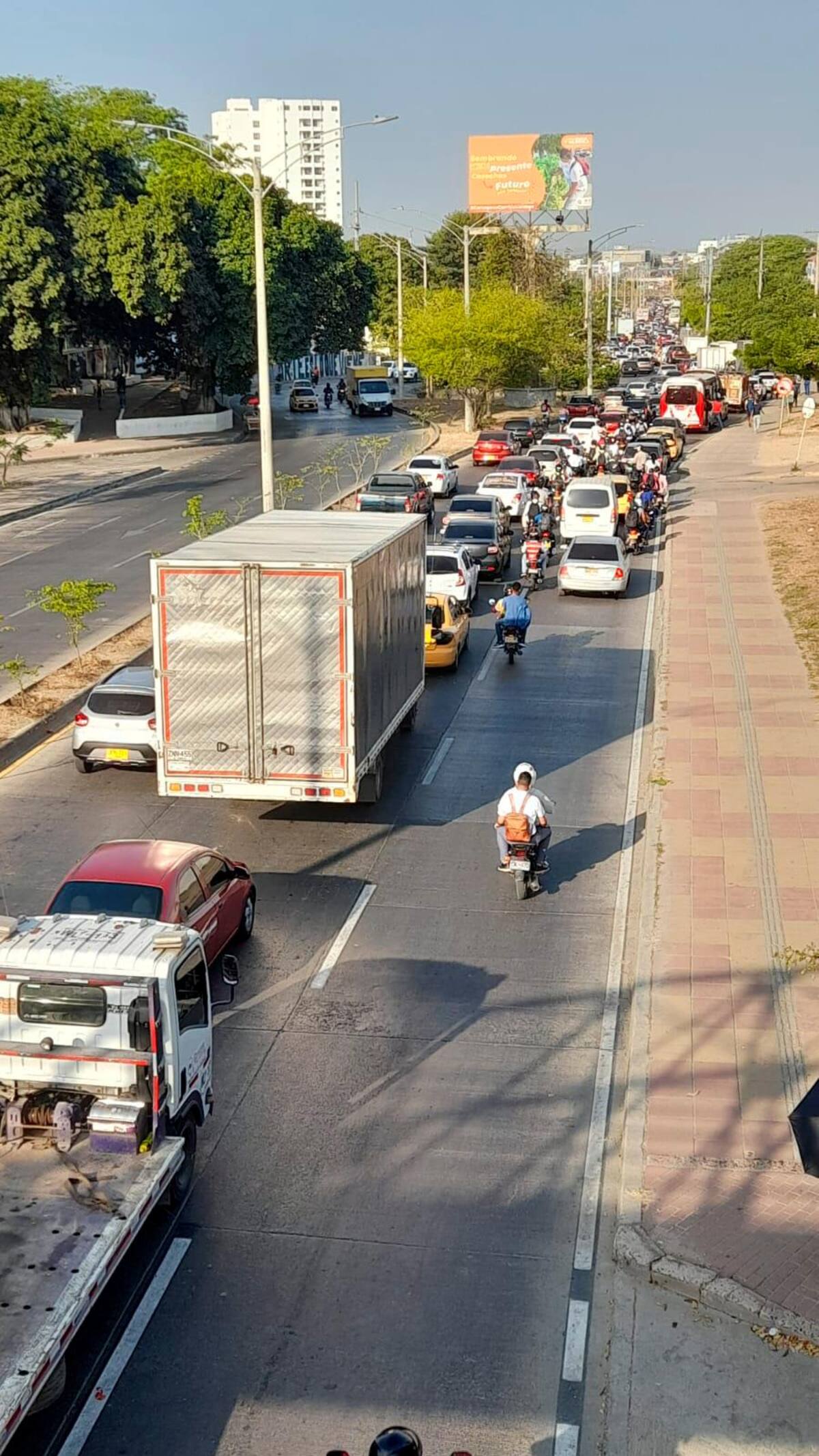 Foto: Luis Herran.