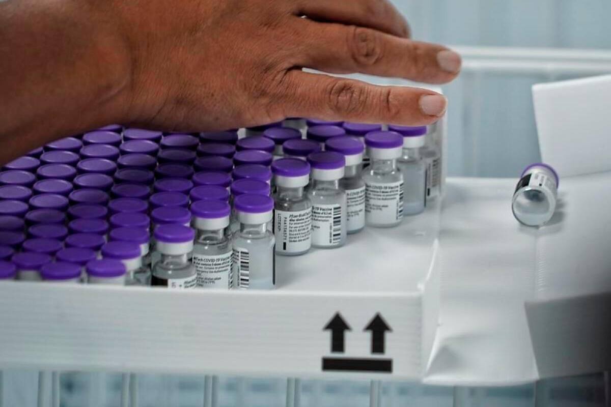 ¿Vencieron algunas vacunas de covid-19 que se usarán para pico respiratorio?