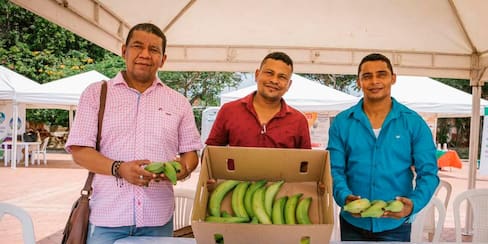 Del campo a tu mesa: así se ha reactivado el agro en Bolívar