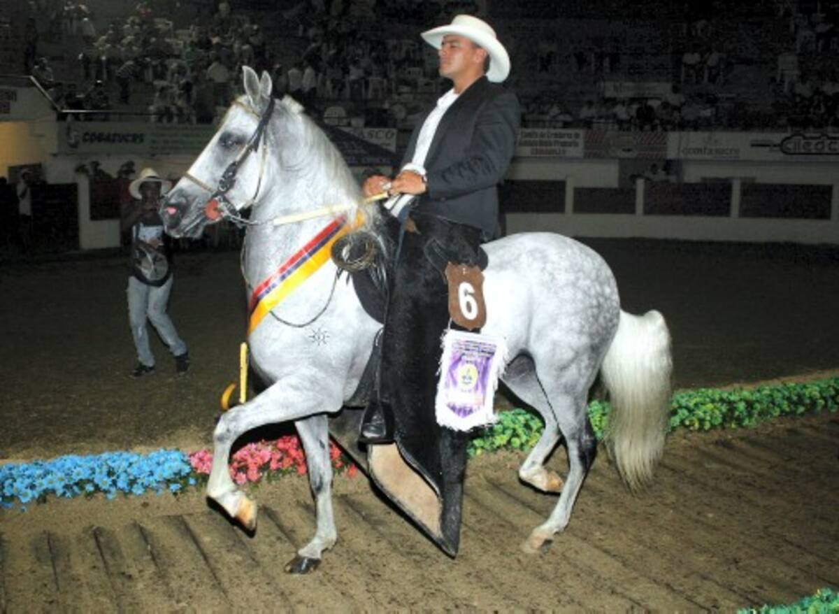 Gran Campeona Trocha Pura “Veranda del Imperio del Sol”, montador José Osorno.