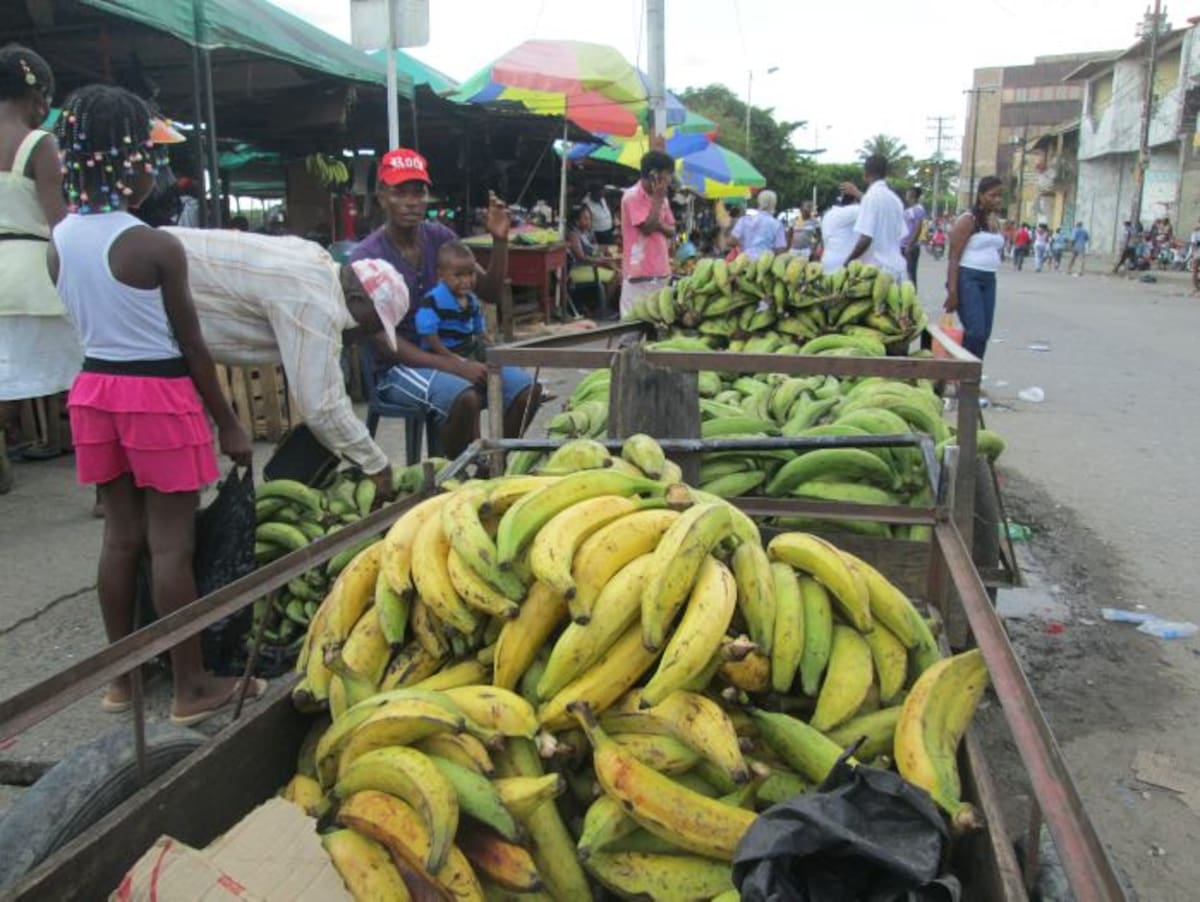 Los frutos de la tierra chocoana. FOTO: RUBÉN DARÍO ÁLVAREZ